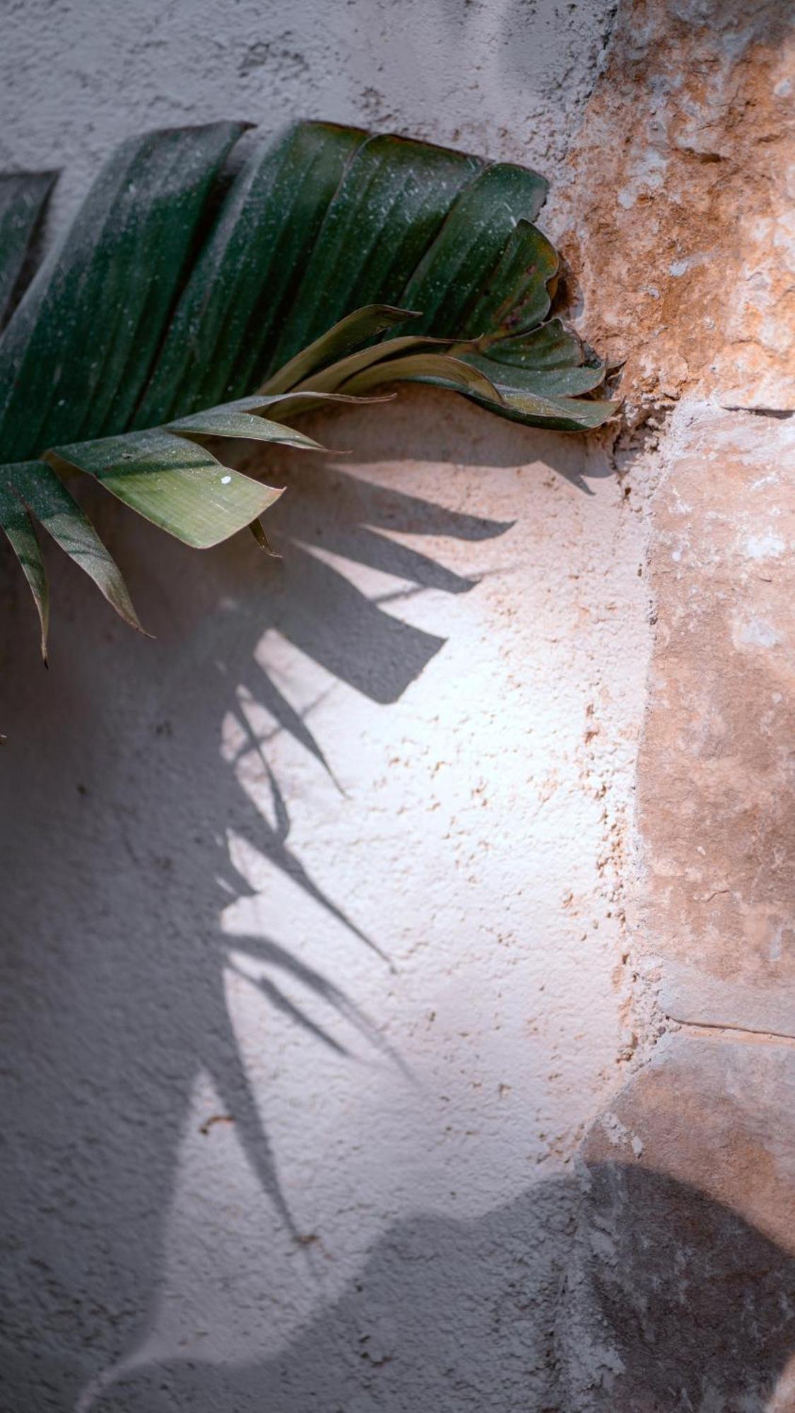 Casa Mita Panzió Pulsano Kültér fotó